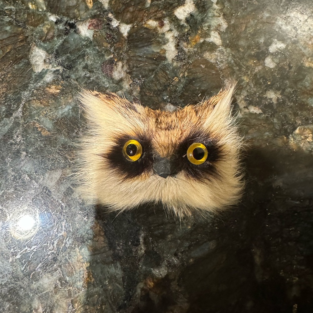 Vintage Brooch Owl Realistic Bird Head Furry‎ Glass Eye Figural